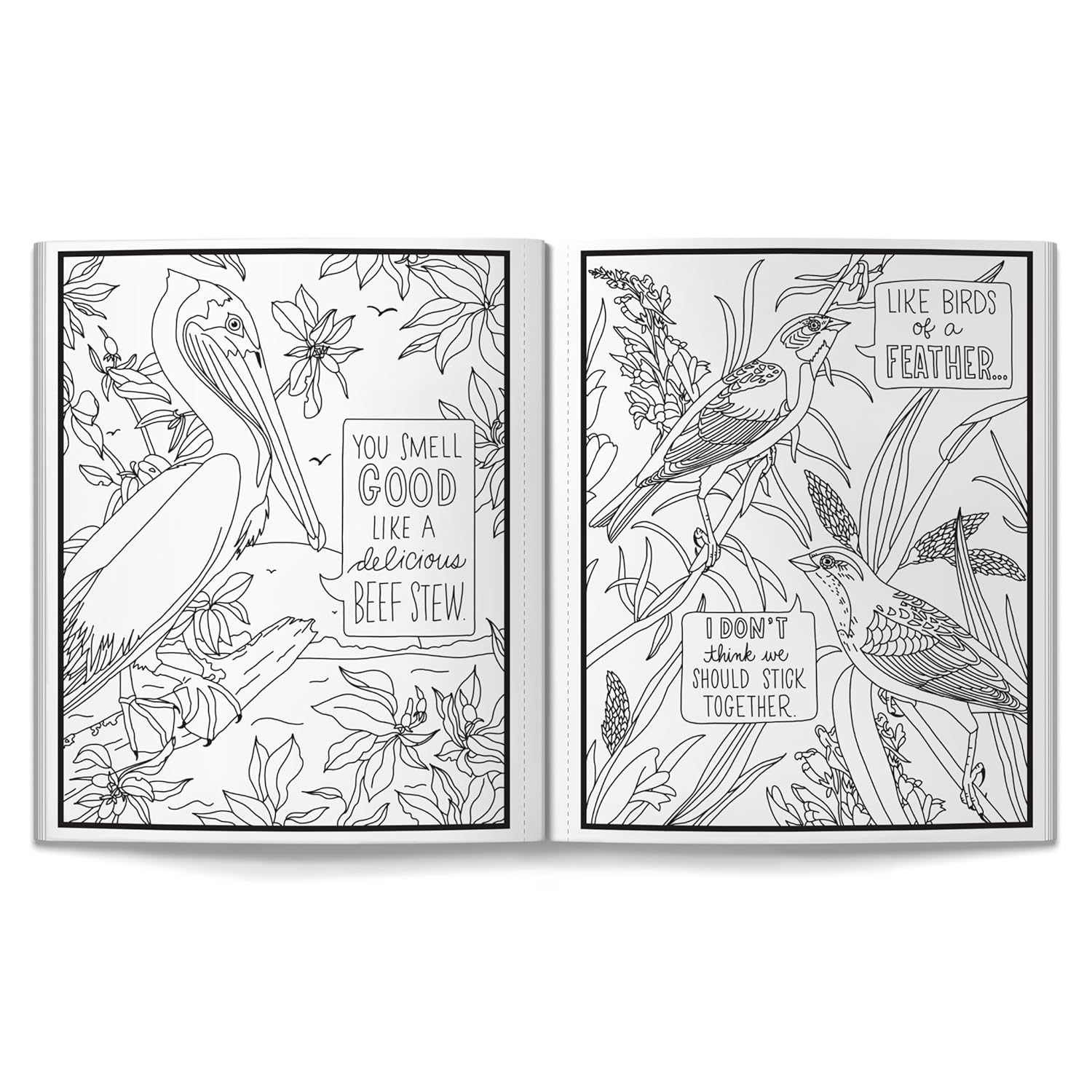 Salty Birds Coloring Book by Brass Monkey 20 9780735388321_2