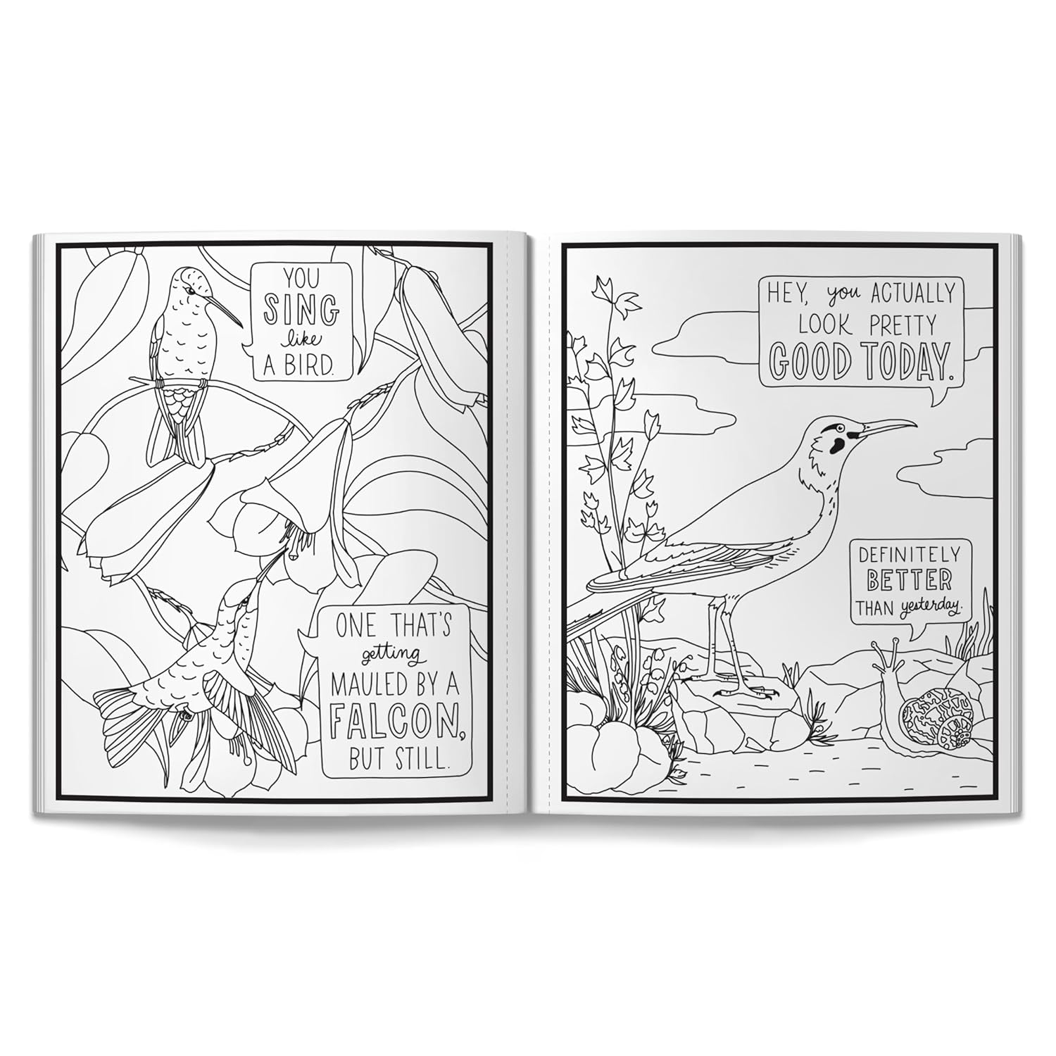 Salty Birds Coloring Book by Brass Monkey 20 9780735388321_3