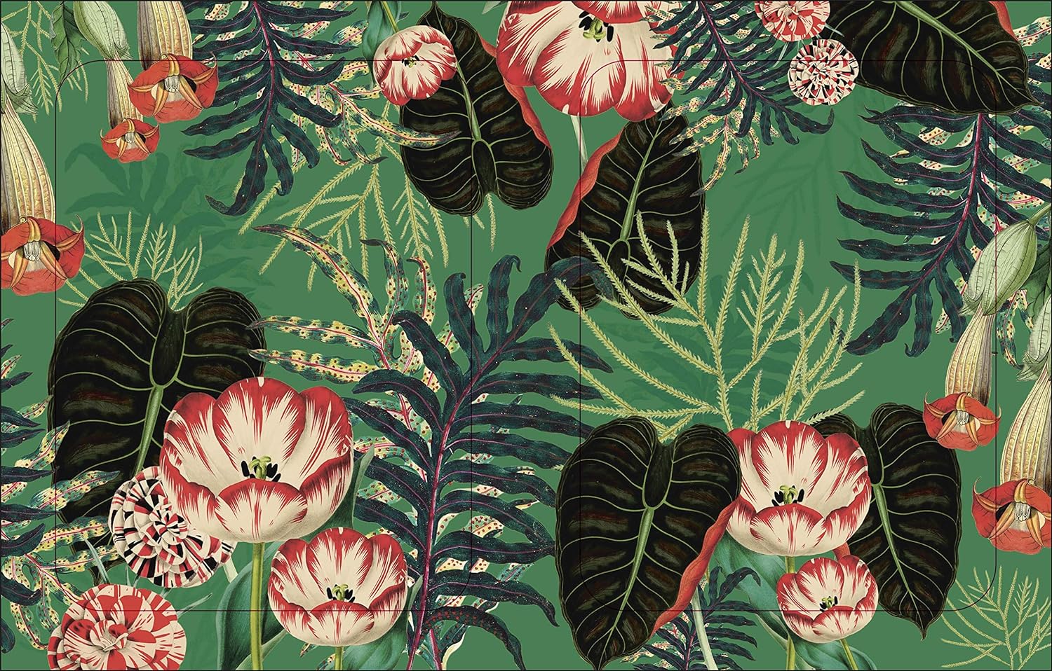 The Botanist's Sticker Anthology (1,000+ Vintage Stickers) by Dk 9780744036725_2