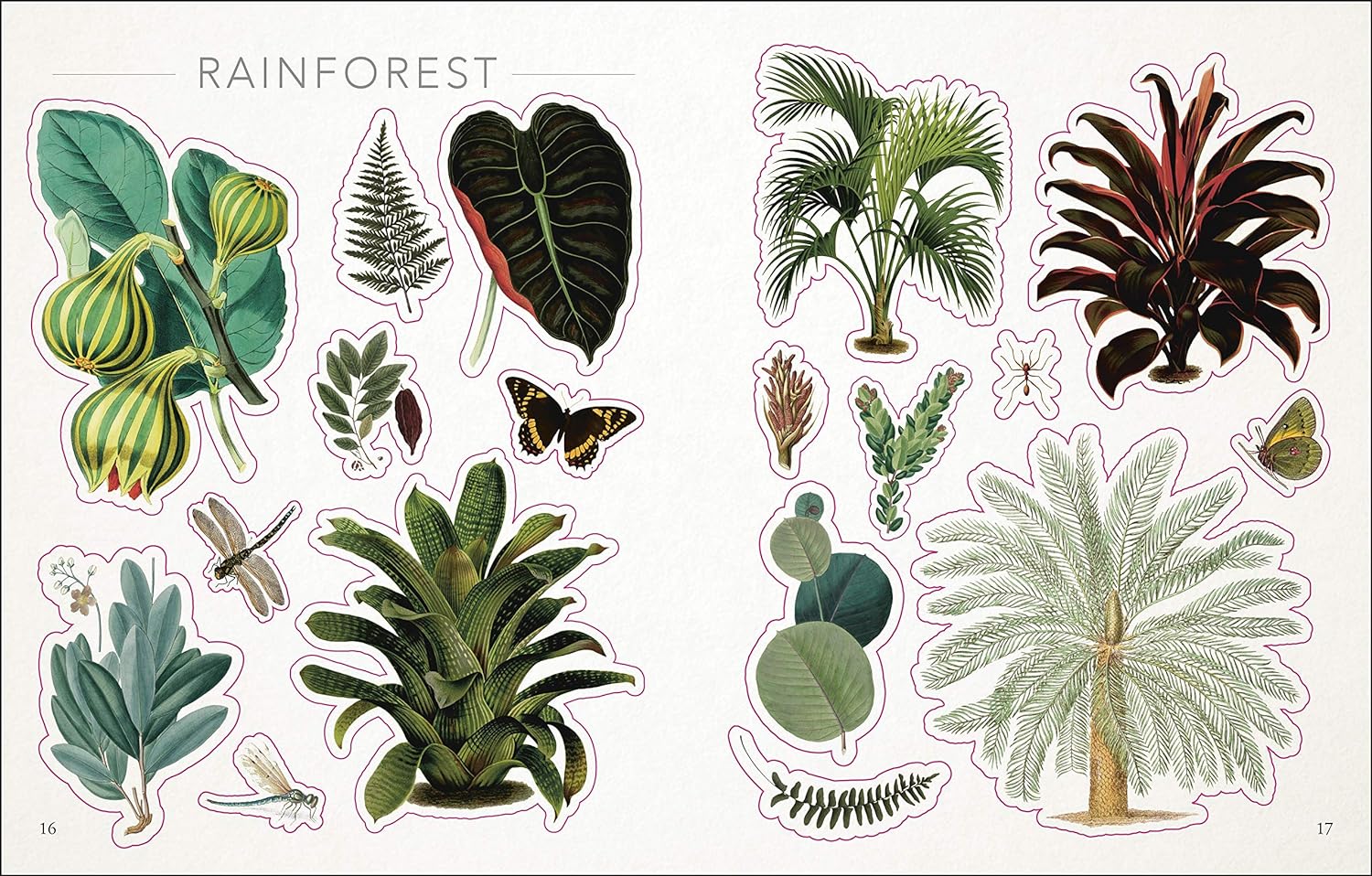 The Botanist's Sticker Anthology (1,000+ Vintage Stickers) by Dk 9780744036725_3