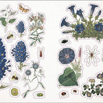 The Botanist's Sticker Anthology (1,000+ Vintage Stickers) by Dk 9780744036725_4