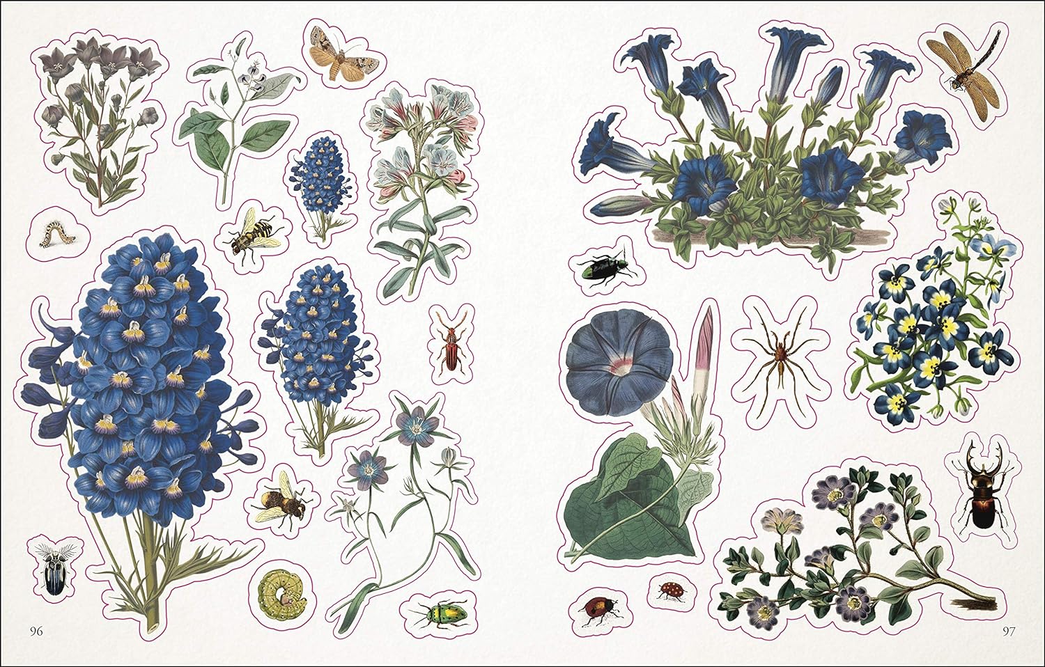 The Botanist's Sticker Anthology (1,000+ Vintage Stickers) by Dk 9780744036725_4