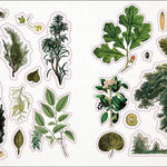The Botanist's Sticker Anthology (1,000+ Vintage Stickers) by Dk 9780744036725_5