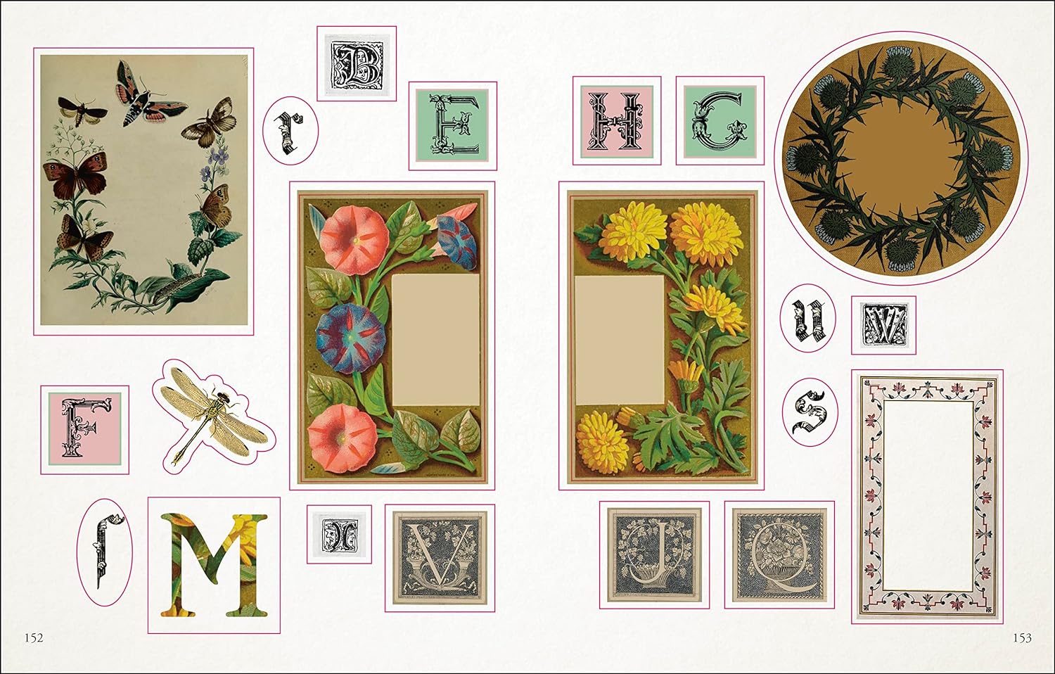 The Botanist's Sticker Anthology (1,000+ Vintage Stickers) by Dk 9780744036725_6