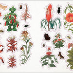 The Botanist's Sticker Anthology (1,000+ Vintage Stickers) by Dk 9780744036725_7