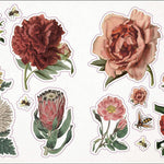 The Botanist's Sticker Anthology (1,000+ Vintage Stickers) by Dk 9780744036725_8