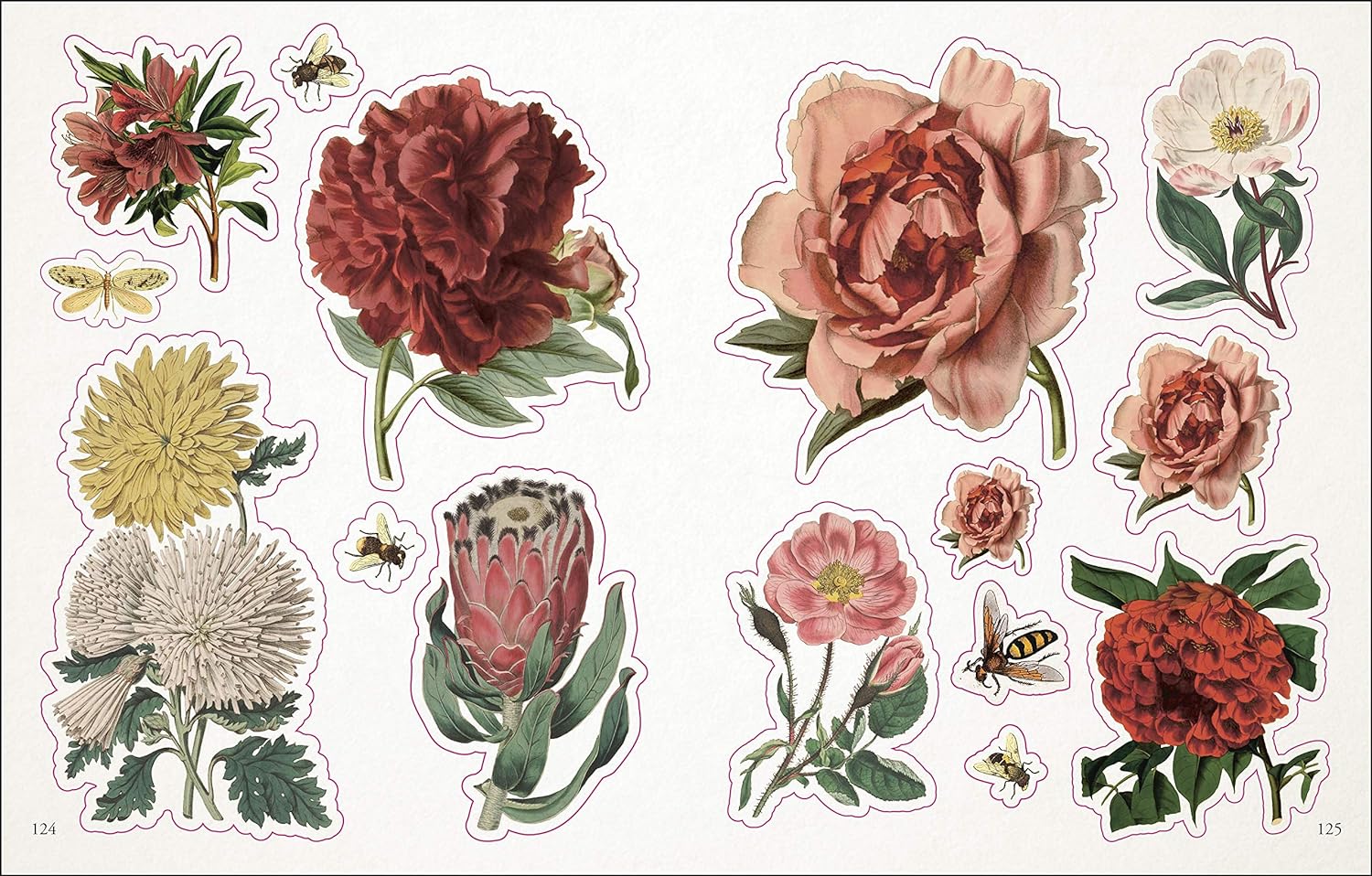 The Botanist's Sticker Anthology (1,000+ Vintage Stickers) by Dk 9780744036725_8