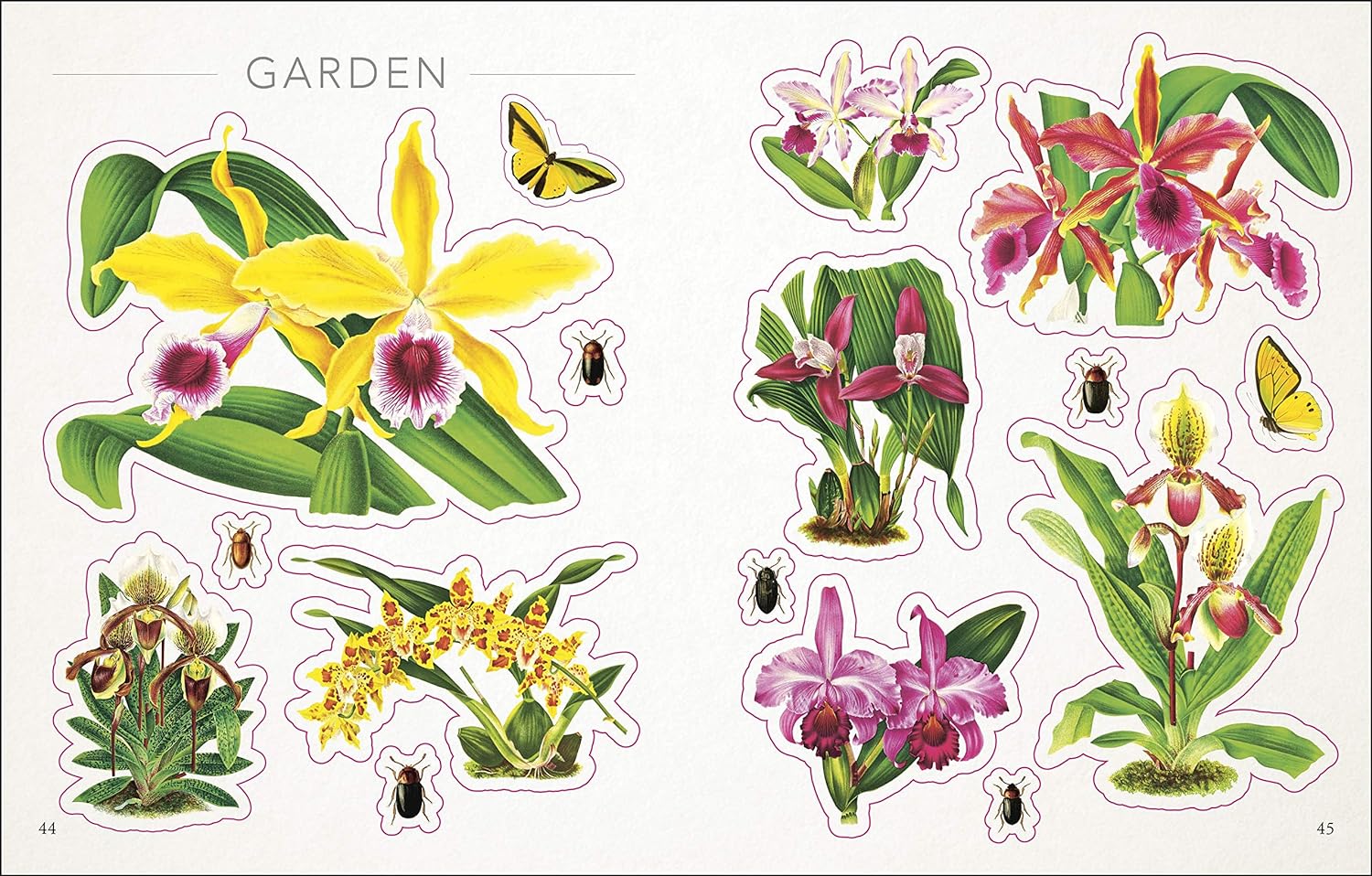 The Botanist's Sticker Anthology (1,000+ Vintage Stickers) by Dk 9780744036725_9