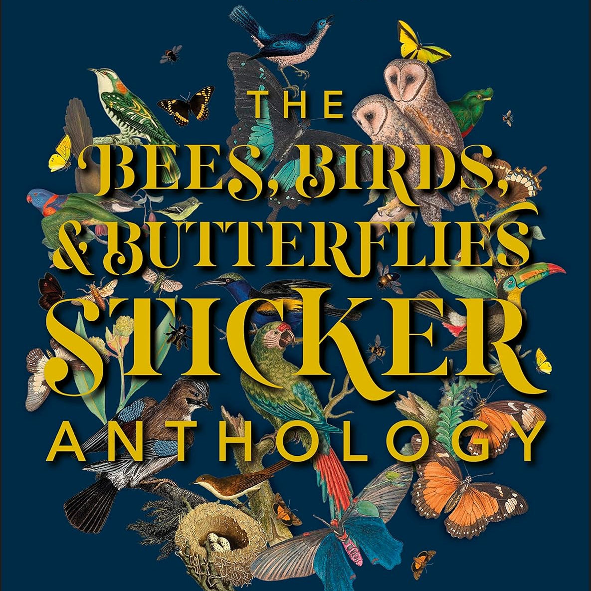 Bees, Birds & Butterflies Sticker Anthology (1,000+ Vintage Stickers) by Dk 9780744050295