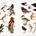 Bees, Birds & Butterflies Sticker Anthology (1,000+ Vintage Stickers) by Dk 9780744050295_2