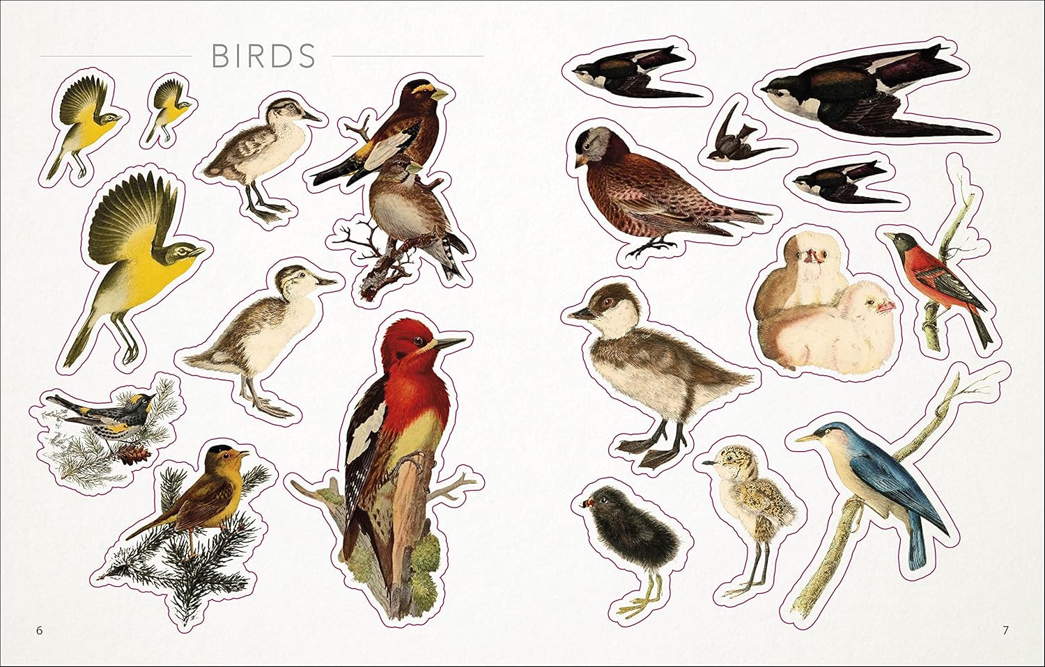 Bees, Birds & Butterflies Sticker Anthology (1,000+ Vintage Stickers) by Dk 9780744050295_2