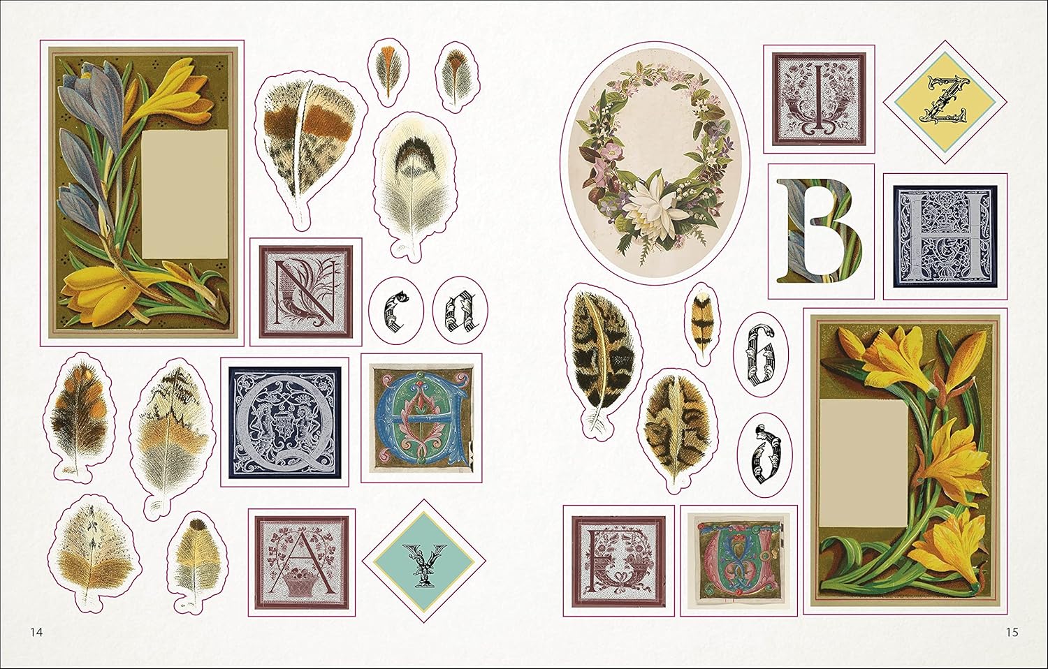 Bees, Birds & Butterflies Sticker Anthology (1,000+ Vintage Stickers) by Dk 9780744050295_3