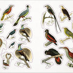 Bees, Birds & Butterflies Sticker Anthology (1,000+ Vintage Stickers) by Dk 9780744050295_4