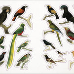 Bees, Birds & Butterflies Sticker Anthology (1,000+ Vintage Stickers) by Dk 9780744050295_5