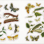 Bees, Birds & Butterflies Sticker Anthology (1,000+ Vintage Stickers) by Dk 9780744050295_8