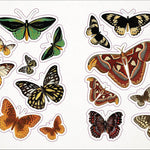 Bees, Birds & Butterflies Sticker Anthology (1,000+ Vintage Stickers) by Dk 9780744050295_9