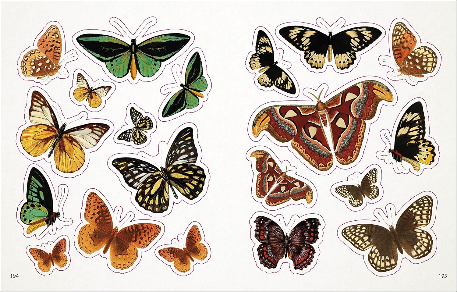 Bees, Birds & Butterflies Sticker Anthology (1,000+ Vintage Stickers) by Dk 9780744050295_9