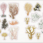 The Seashore Sticker Anthology: With More Than 1000 Vintage Stickers by Dk 9780744051346_11