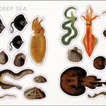 The Seashore Sticker Anthology: With More Than 1000 Vintage Stickers by Dk 9780744051346_2