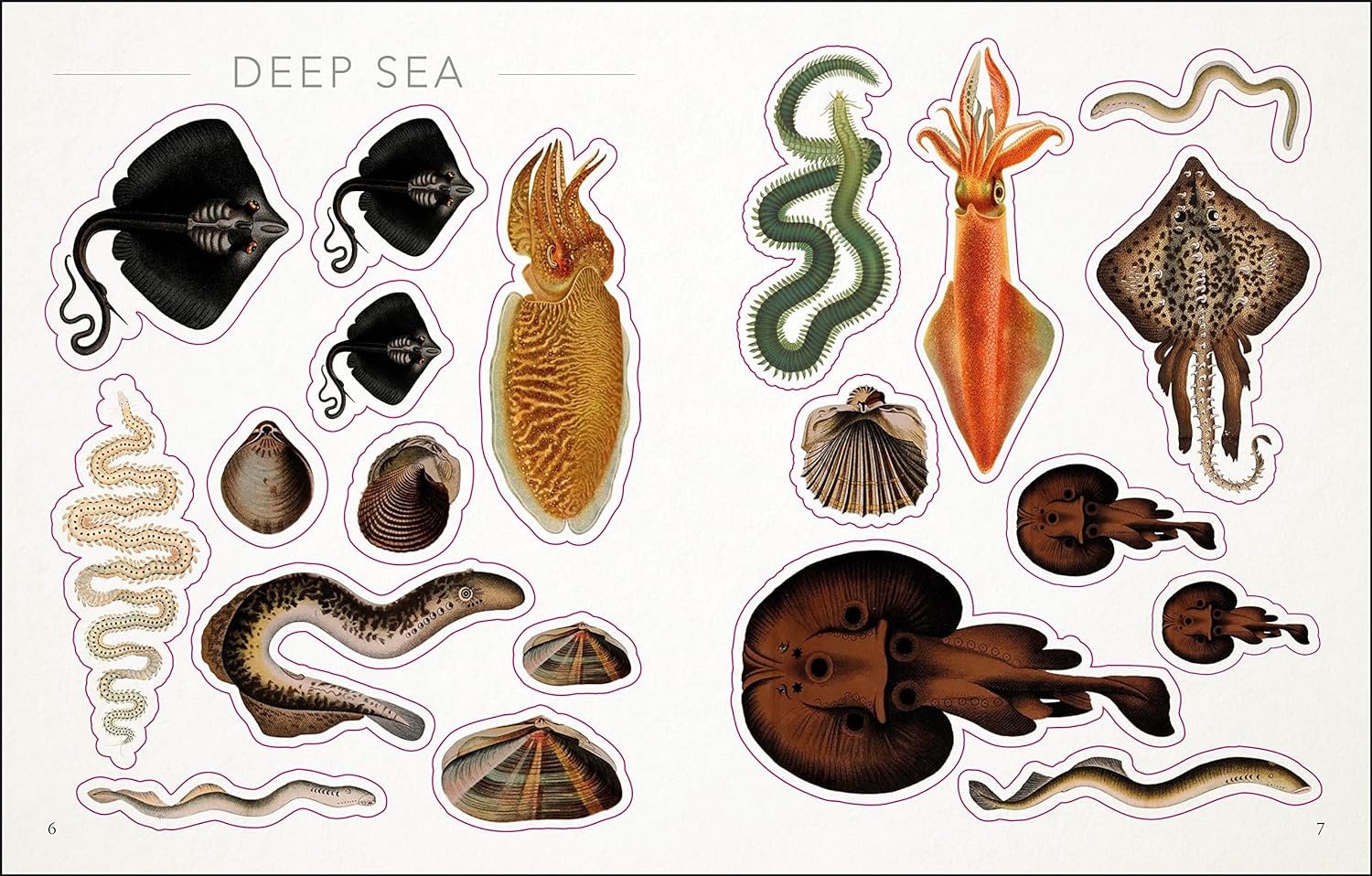 The Seashore Sticker Anthology: With More Than 1000 Vintage Stickers by Dk 9780744051346_2