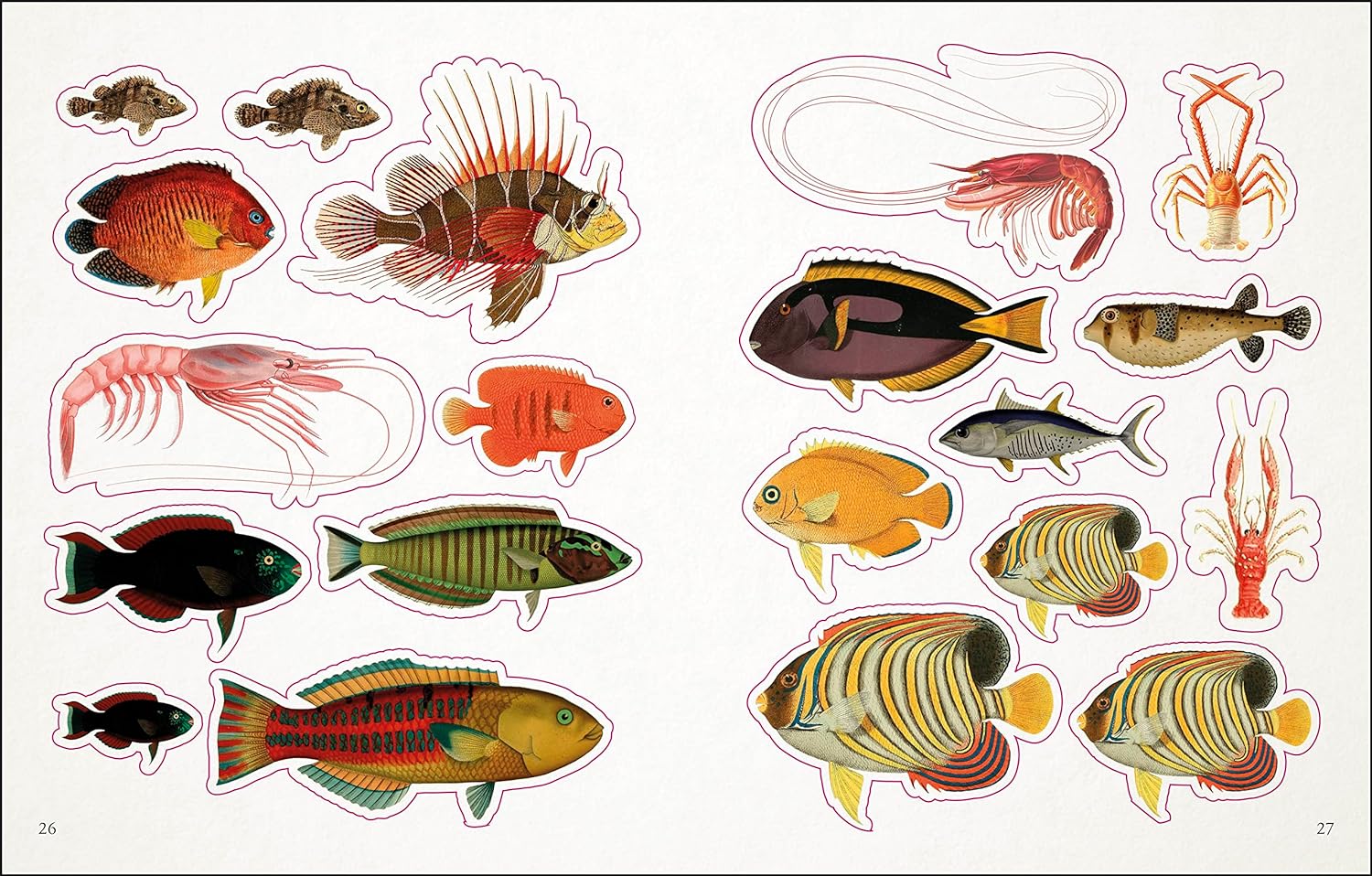 The Seashore Sticker Anthology: With More Than 1000 Vintage Stickers by Dk 9780744051346_3