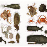 The Seashore Sticker Anthology: With More Than 1000 Vintage Stickers by Dk 9780744051346_4