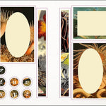 The Seashore Sticker Anthology: With More Than 1000 Vintage Stickers by Dk 9780744051346_6