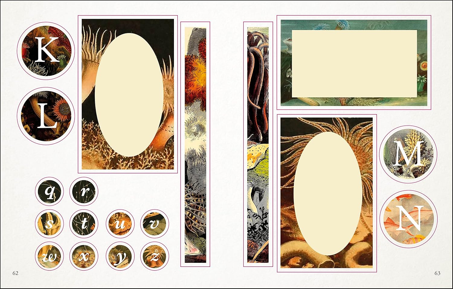 The Seashore Sticker Anthology: With More Than 1000 Vintage Stickers by Dk 9780744051346_6