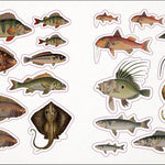 The Seashore Sticker Anthology: With More Than 1000 Vintage Stickers by Dk 9780744051346_7