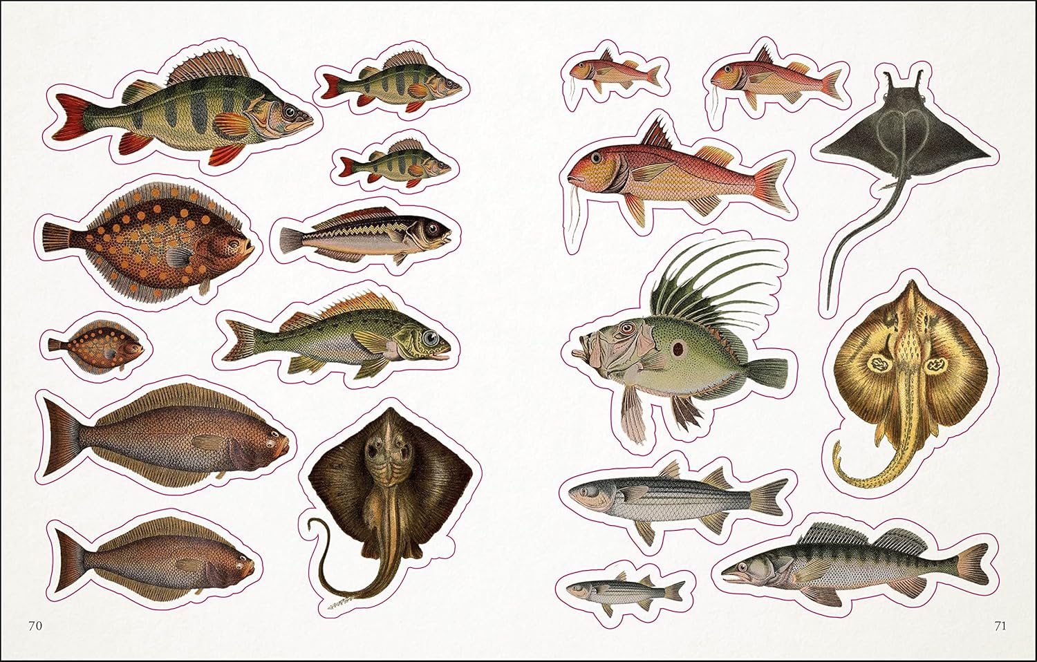 The Seashore Sticker Anthology: With More Than 1000 Vintage Stickers by Dk 9780744051346_7