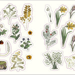 Forests, Fairies & Fungi Sticker Anthology (1,000+ Vintage Stickers) by Dk 9780744069501_2