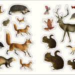 Forests, Fairies & Fungi Sticker Anthology (1,000+ Vintage Stickers) by Dk 9780744069501_3