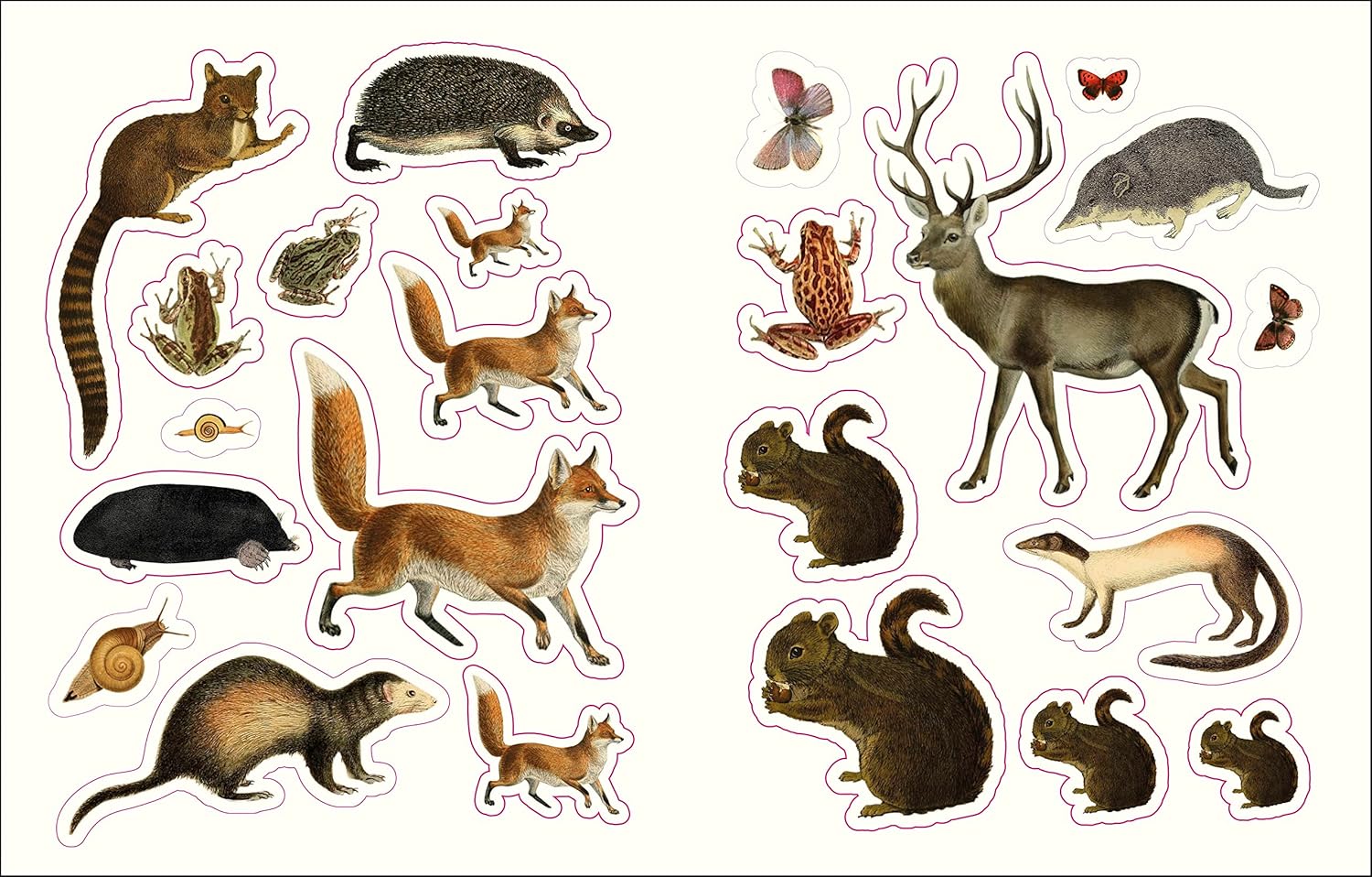 Forests, Fairies & Fungi Sticker Anthology (1,000+ Vintage Stickers) by Dk 9780744069501_3