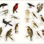 Forests, Fairies & Fungi Sticker Anthology (1,000+ Vintage Stickers) by Dk 9780744069501_5