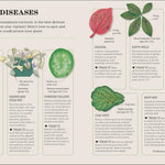 How Not To Kill Your Houseplant New Edition by Peerless. Veronica 9780744087888_3