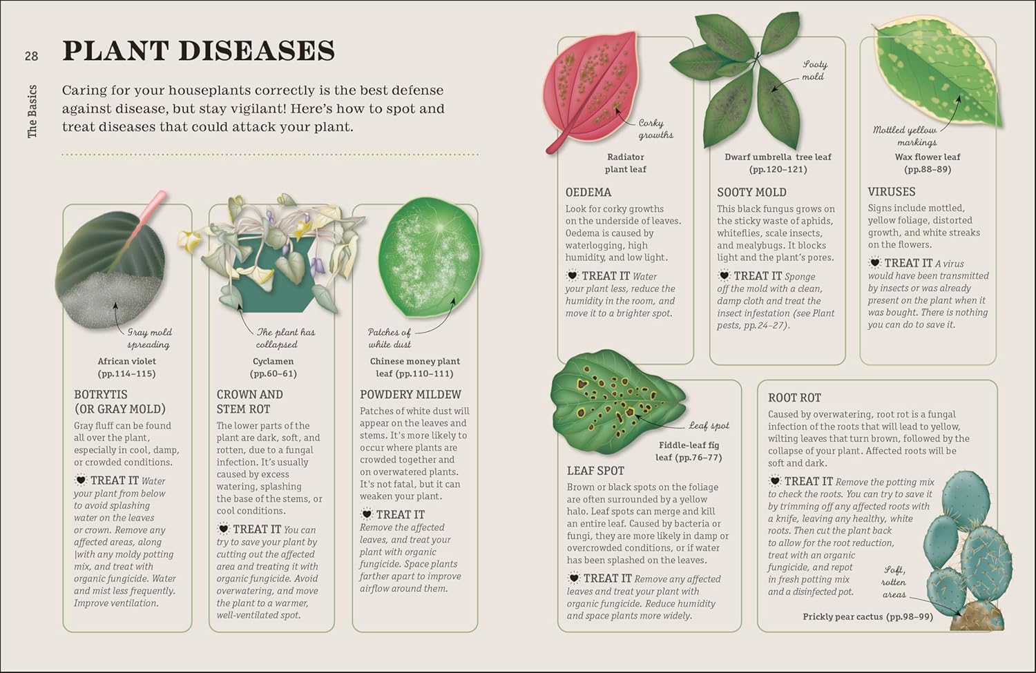 How Not To Kill Your Houseplant New Edition by Peerless. Veronica 9780744087888_3