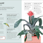 How Not To Kill Your Houseplant New Edition by Peerless. Veronica 9780744087888_4