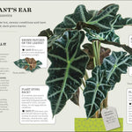 How Not To Kill Your Houseplant New Edition by Peerless. Veronica 9780744087888_5