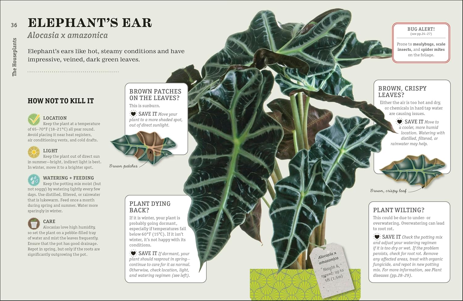 How Not To Kill Your Houseplant New Edition by Peerless. Veronica 9780744087888_5