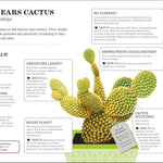 How Not To Kill Your Houseplant New Edition by Peerless. Veronica 9780744087888_6