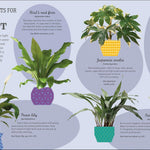 How Not To Kill Your Houseplant New Edition by Peerless. Veronica 9780744087888_7