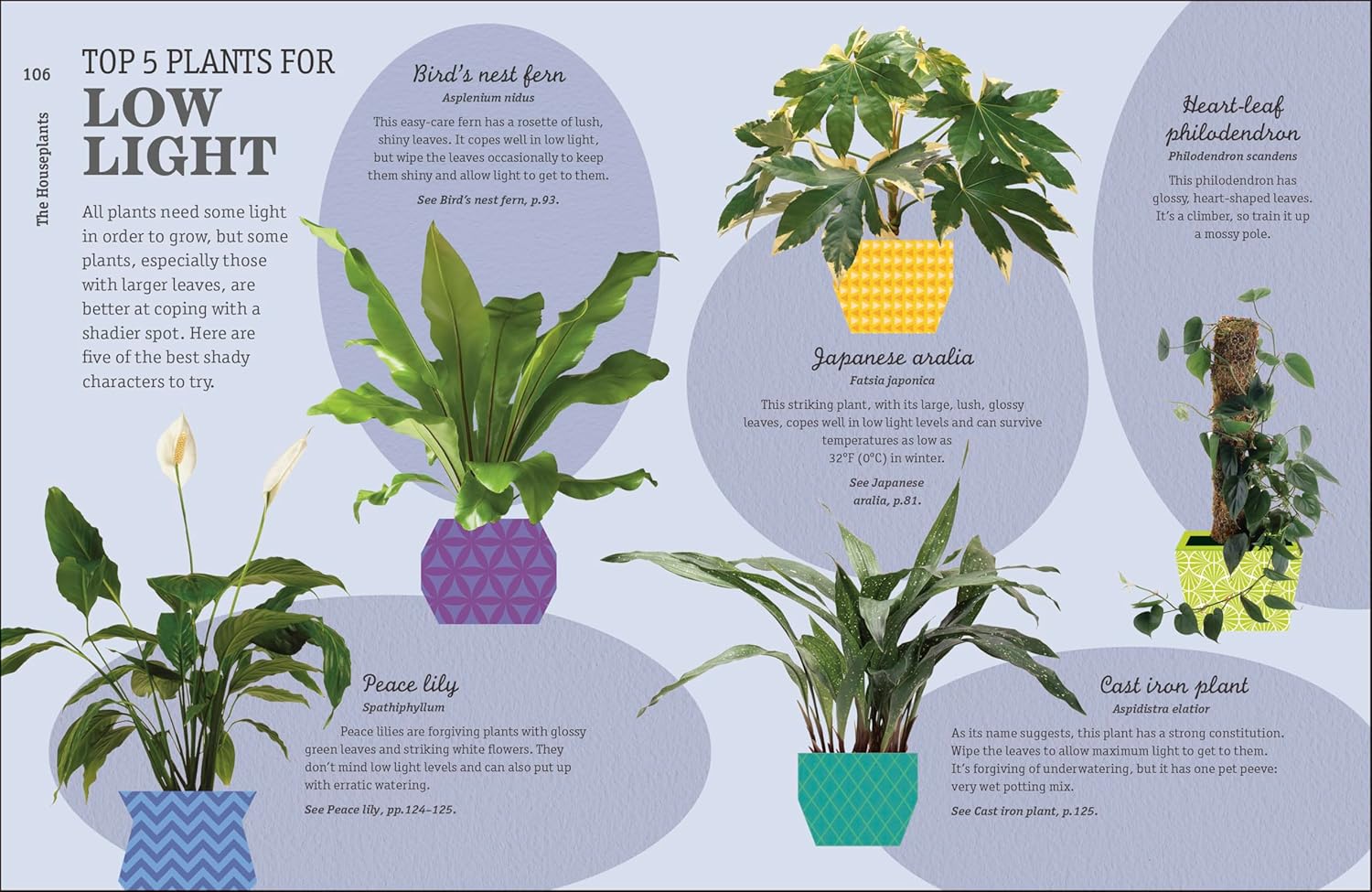 How Not To Kill Your Houseplant New Edition by Peerless. Veronica 9780744087888_7