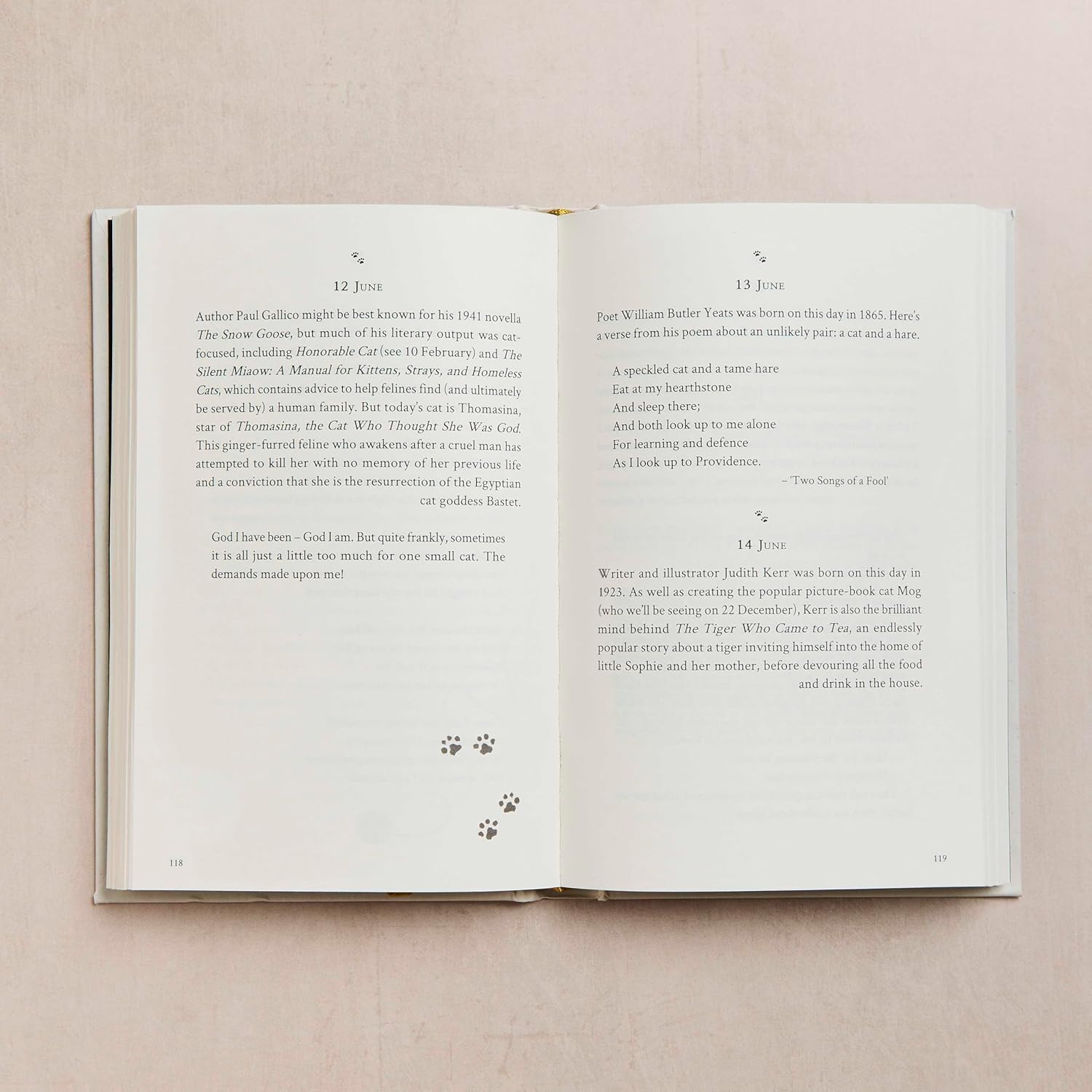 A Literary Cat For Every Day Of The Year by Richardson. Tara 9780753735664_4