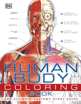 Human Body Coloring Book by Dk 9780756682347