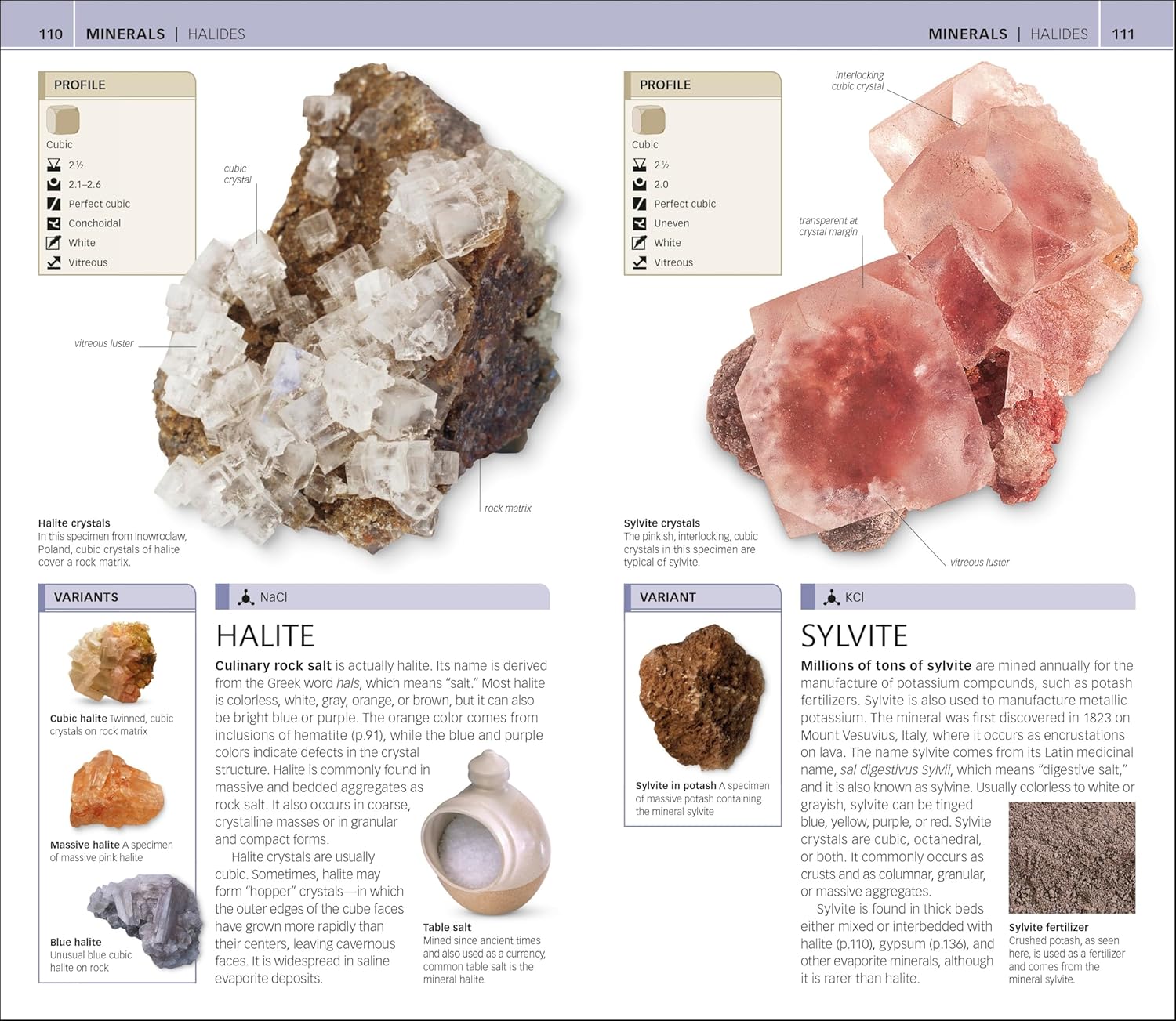 (Smithsonian) Natrue Guide: Rocks & Minerals by Dk 20 9780756690427_4_f70d34dc-fe23-4421-94f4-ac727ca7582d