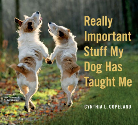 Really Important Stuff My Dog Has Taught Me by Copeland. Cynthia 9780761181798_31059dc0-4a27-4d47-9776-34f783f15c41