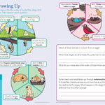 Summer Brain Quest: Between Grades 2 & 3 by Workman Publishing 9780761189183_4