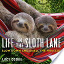 Life In Sloth Lane by Cooke. Lucy 9780761193227