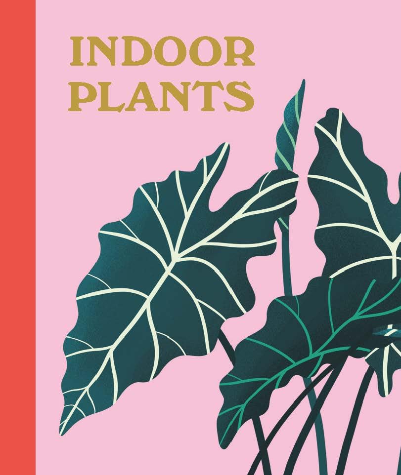 Plant Lover's Box Set by Moore. Jessie Oleson 9780762482283_4