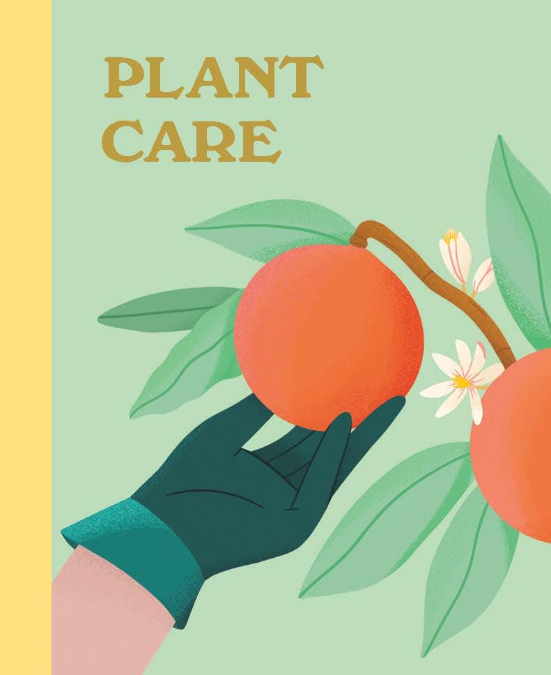 Plant Lover's Box Set by Moore. Jessie Oleson 9780762482283_5